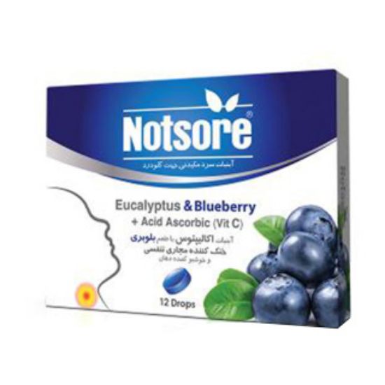 تصویر  آبنبات سرد مکیدنی ناتسور با طعم بلوبری بسته 12 عددی